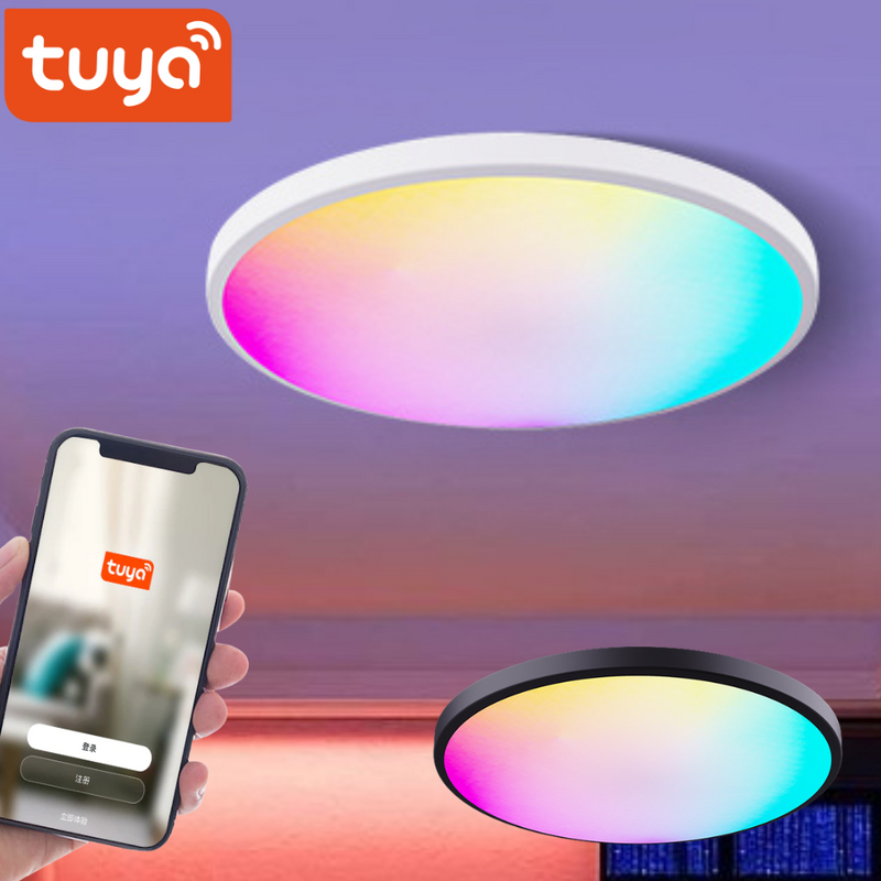 Cargue la imagen en el visor de la galería, [TUYA Smart Home] RGB Dimmable LED 24W Ceiling Light Wireless Control Bedroom Living Room Light - Polar Tech Australia
